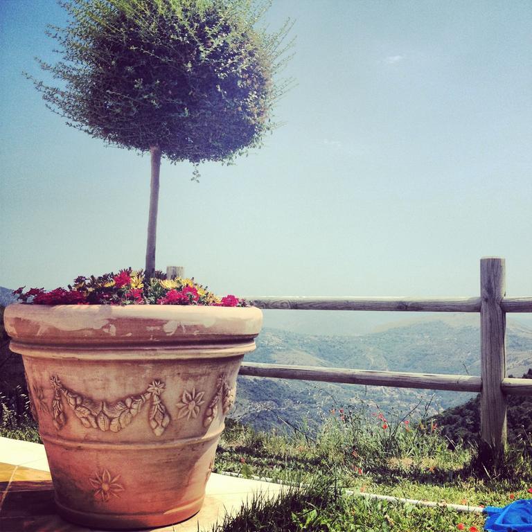 LenolaAgriturismo Collecammino别墅 外观 照片